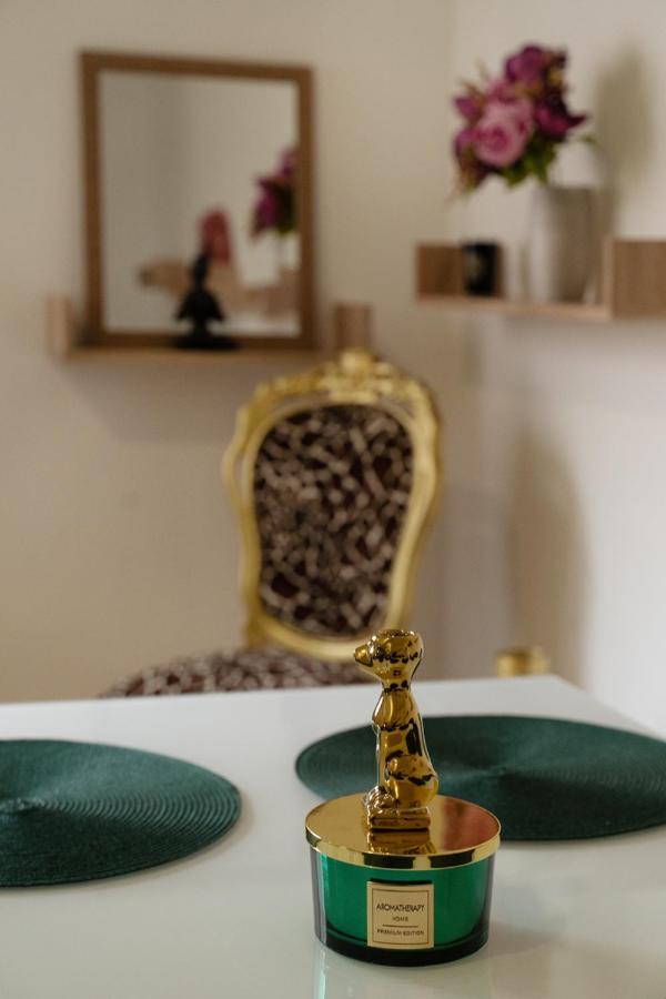 Fand Center Apartman Luxury Szeged Buitenkant foto